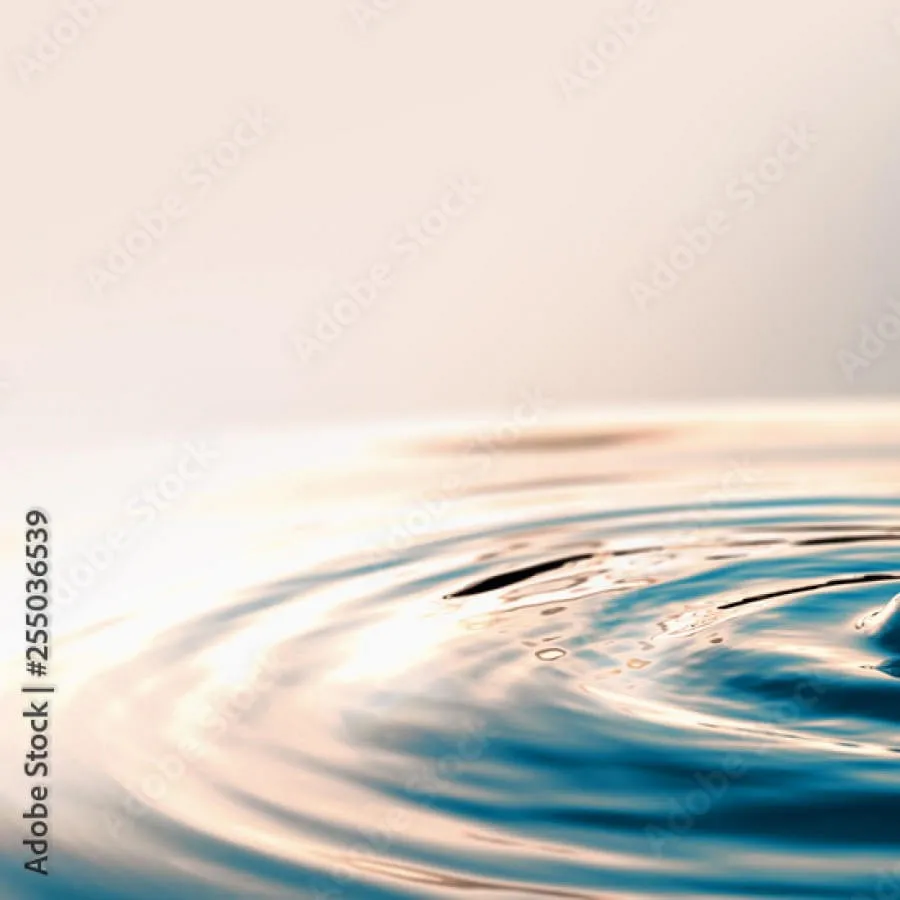 Wasser